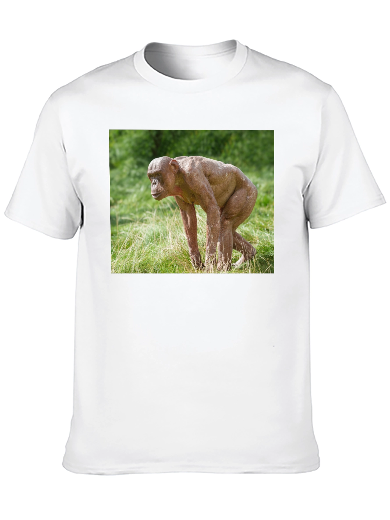 Ape T-Shirt - Unique Animal Design Tee