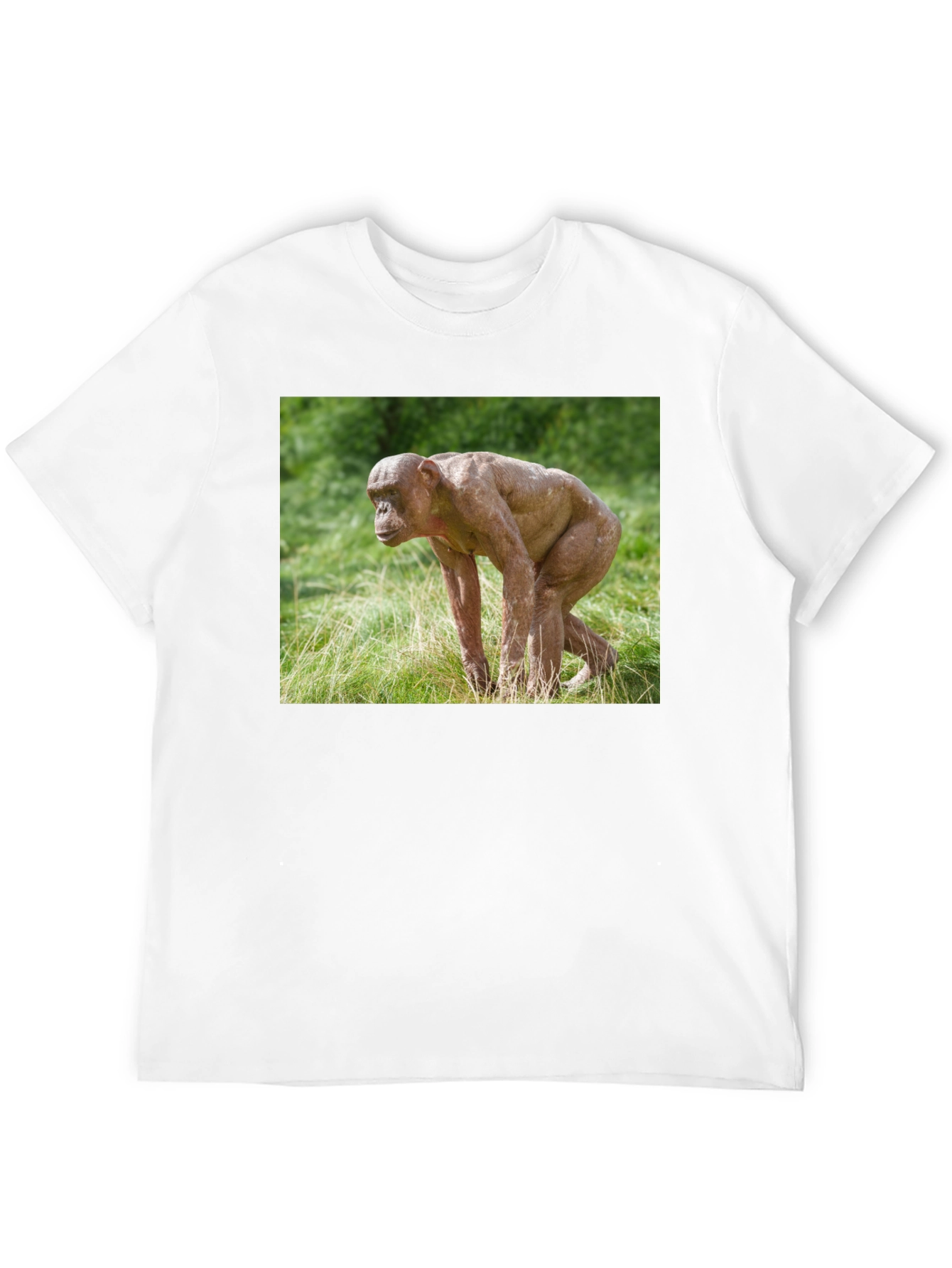 Ape T-Shirt - Unique Animal Design Tee